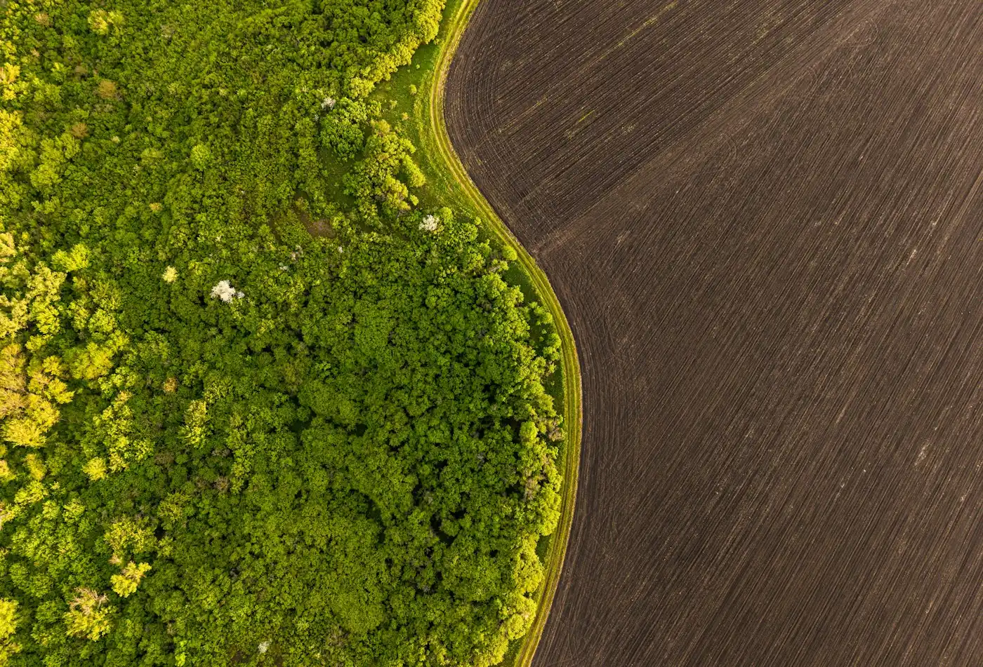 Vista aérea da borda de uma mata encontrando um campo de solo exposto
